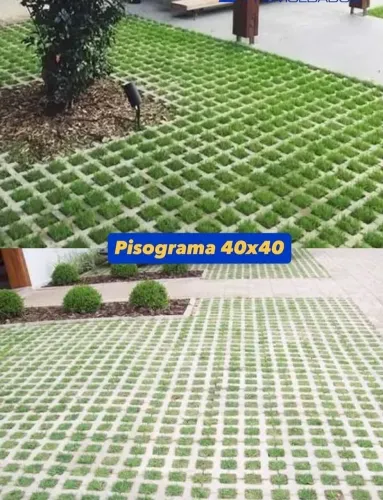 PISOGRAMAS