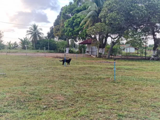 Terreno 3.200m2 ideal para chácara, sítio  - Ipioca Ranch 