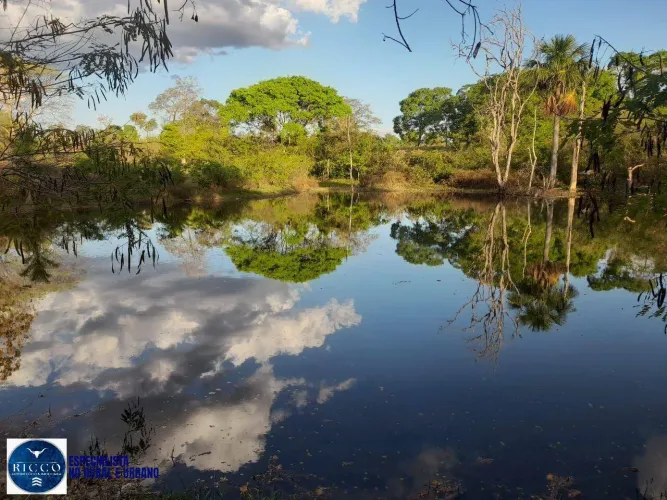 Fazenda à Venda em Amaralina-GO 32 Alqueires