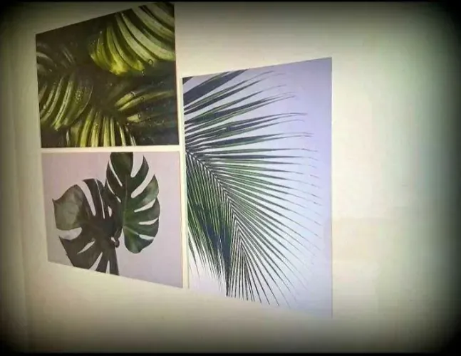 Trio de Quadros Decorativos Tema Florestas (60x40 cm)