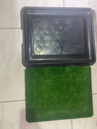 Sanitário para cães com tapete de grama sintética