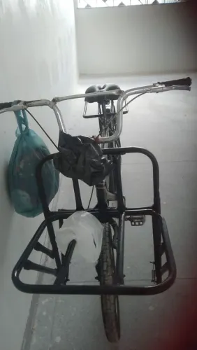 bicicleta cargueira