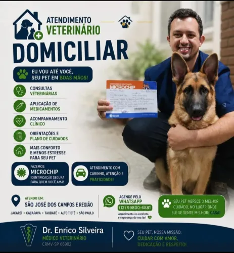 Médico Veterinário a domicílio