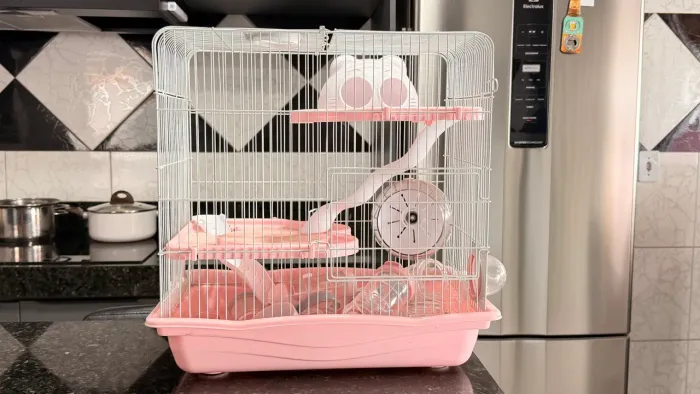 Hamster