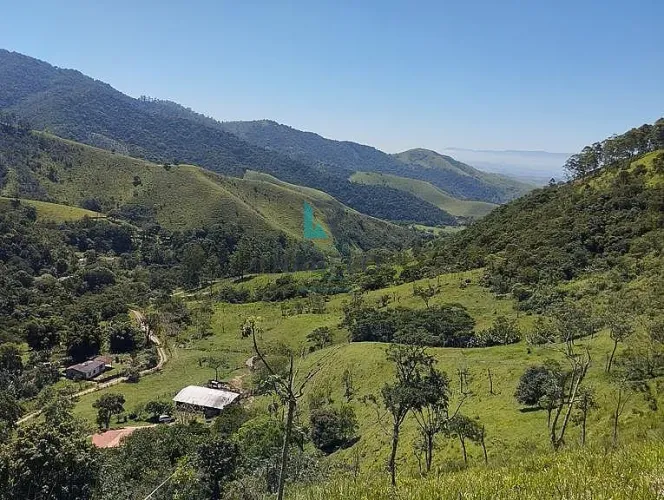 SÍTIO FORMADO COM FÁCIL ACESSO E PASTO FORMADO EM PIQUETE-SP