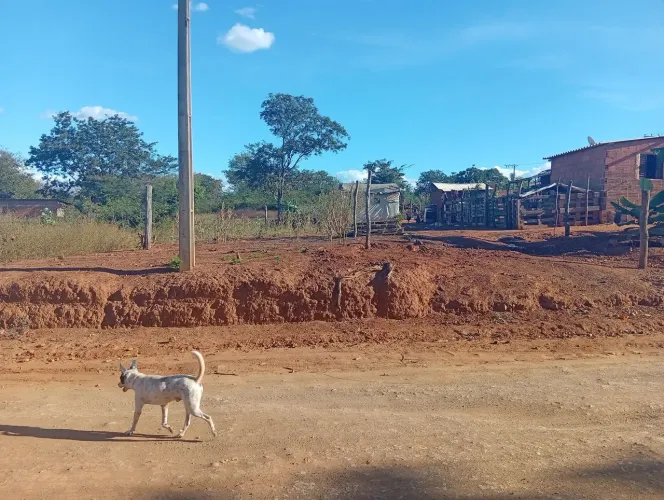 Vendo este lote na linha 1 chegada morada do Sol Zap *