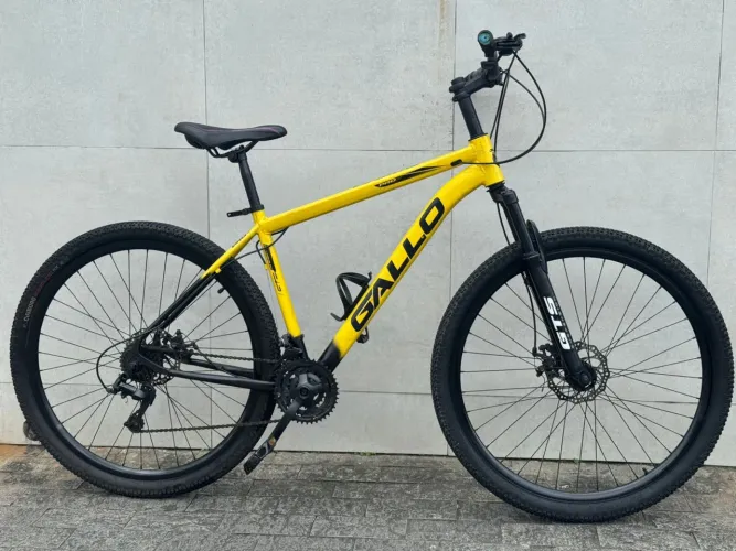 Bicicleta aro 29 da galo semi nova  revisada com nota 