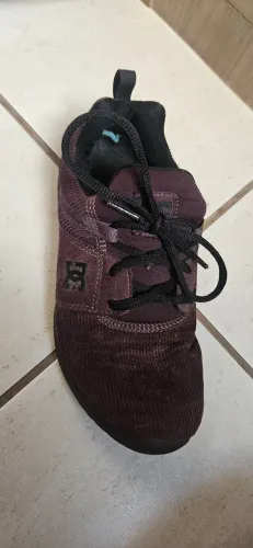 Tenis