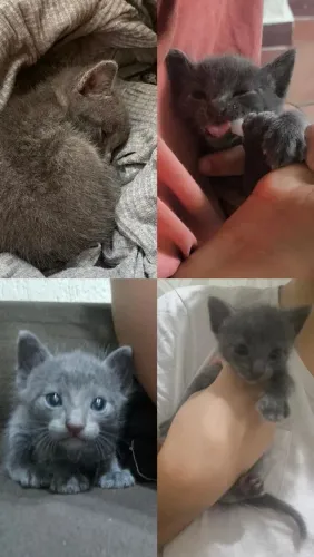 Doação responsável 