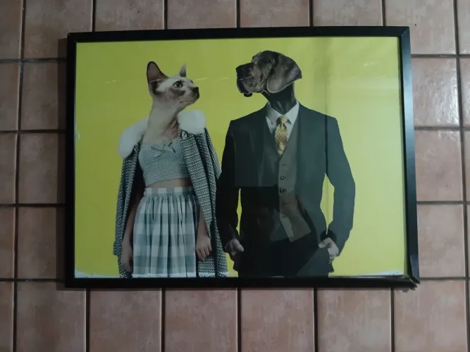 Quadro cão e gato 0,68x0,50cm