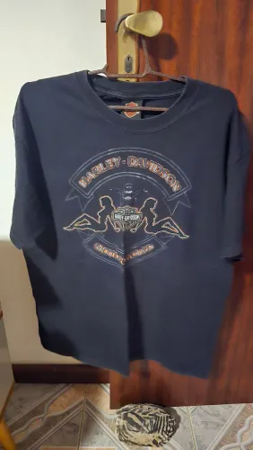 Camisas Harley Davidson. 