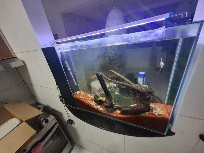 Aquario 90L Completo Sump + Acessórios 