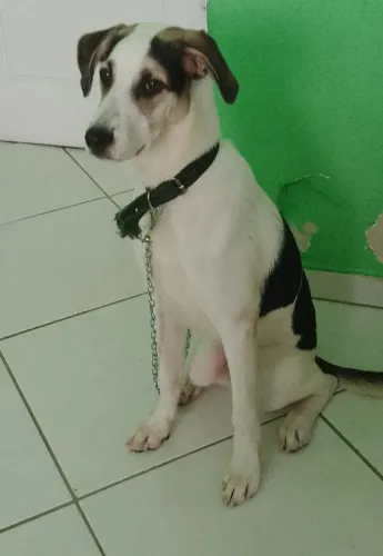 Doação