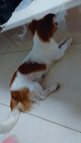 Doação