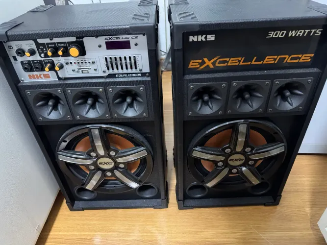 Caixa De Som Amplificadora NKS PK1000 Com Entrada USB E Slot Para Cartões SD/MMC- 300 W
