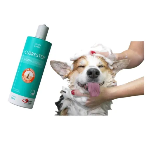Shampoo Cloresten Original 500ml