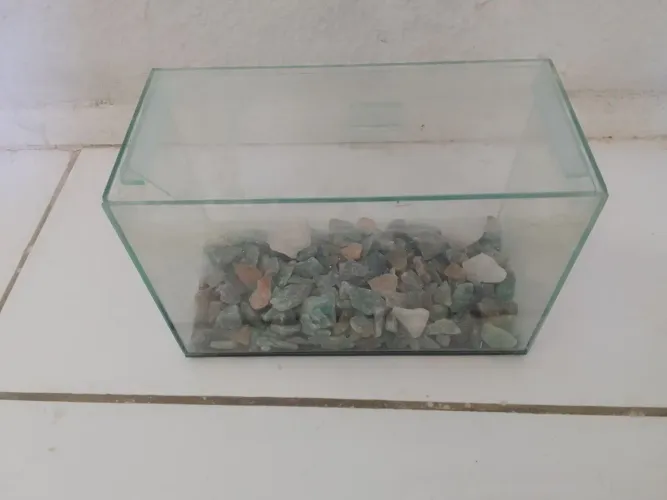 Aguario de vidro dimensões: LxAxC - 12x17xx25 cm