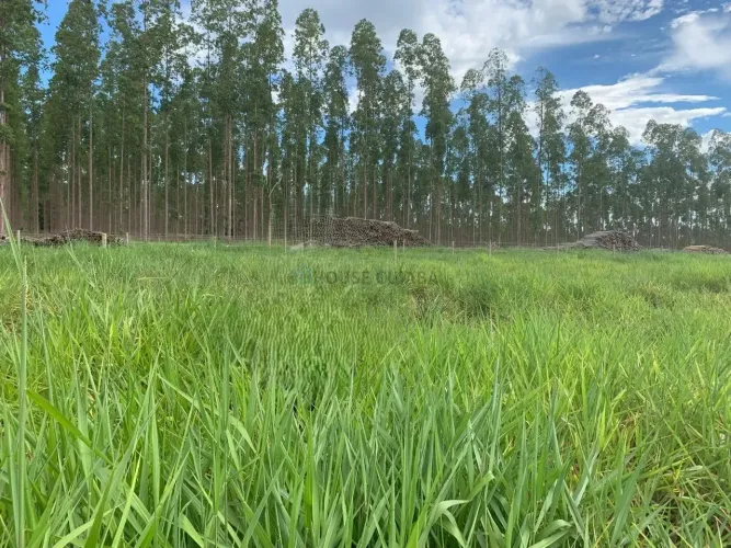 VENDA!!! Uma fazenda à venda, 2.296 hectares, Salto do Céu - MT