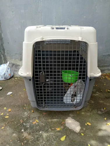 Vendo caixa de transporte