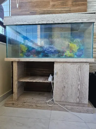 Aquario