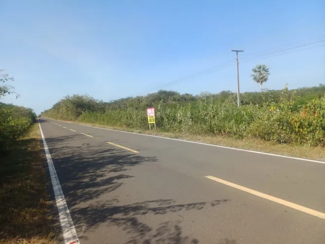 Terreno no cajueiro da praia