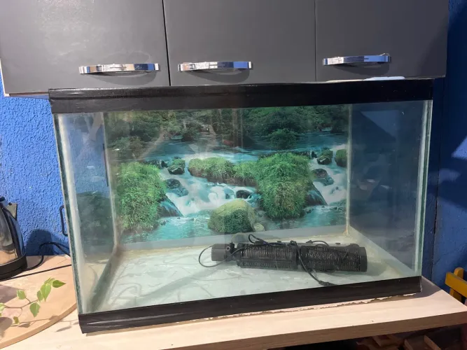 Aquário 60L
