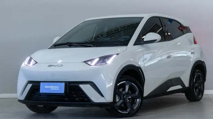 BYD Dolphin Mini (Elétrico) 2024
