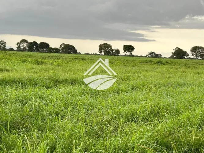 Fazenda para Venda em Araguaçu