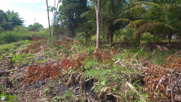 Terreno em monte gordo