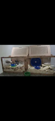 Terrario Hamster 120x40x40 (junção de 2 terrarios de 60cm)