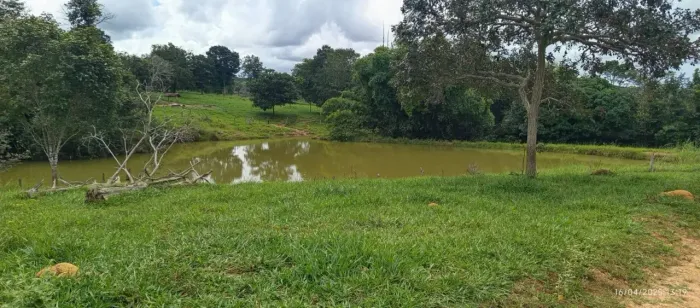 Fazenda para cria e recria de gado Rubiataba, GO