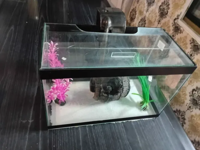 Aquário 20 litros....