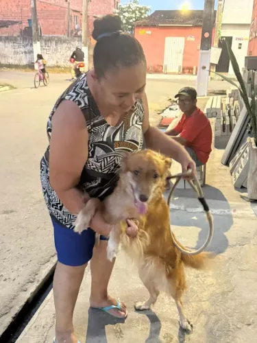 Doação cadela 5 anos