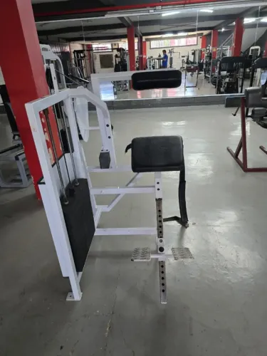 maquina de lombar cybex