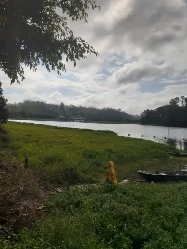 Chácara com fundo para represa 1340m² de terreno com 3 quartos em Represa - Ribeirão Pires