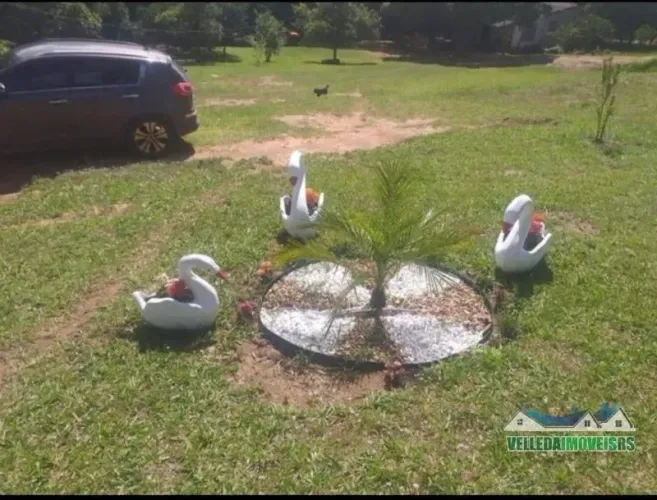Velleda oferece fantástico sítio em Águas Claras, com ótima casa e diversas frutíferas!