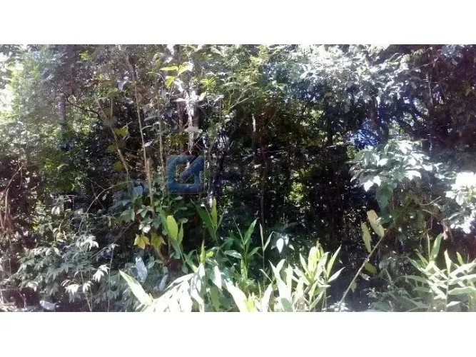 Terreno Comercial de 4.358 m² em São Bernardo do Campo  Bairro Tatetos | Venda R$ 330.000