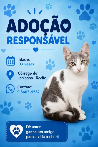 Adoção de Gatinho