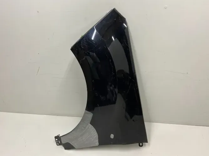 Paralama Ford Ecosport 2013 2014 15 16 17 18 19 20 2021 Esq
