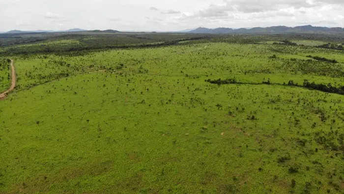 Fazenda 770 alqueires em Vila Propricio-Go