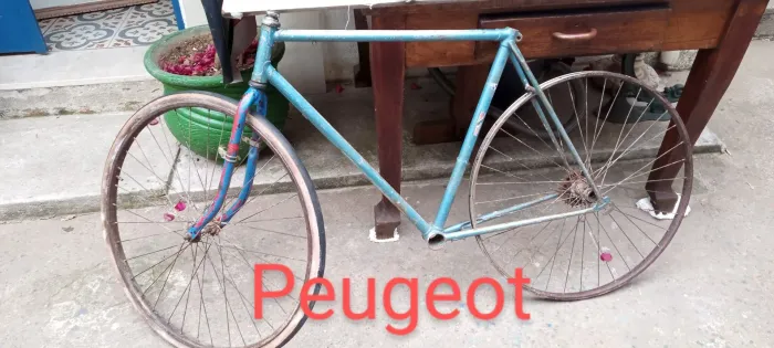Quadro Peugeot