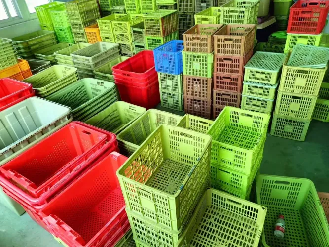 Moldes usados - Caixas plásticas para vários e agroindústria