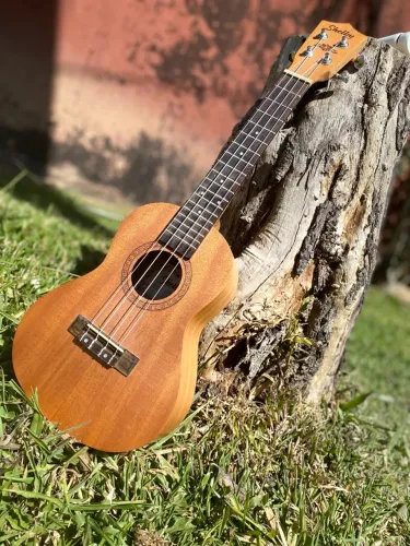 Ukulele