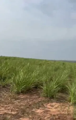 Fazenda a 170 mil o alqueieo para eventidor