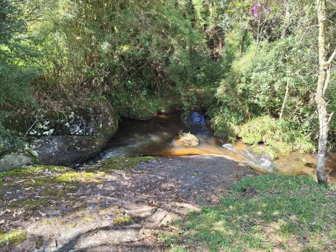 Cunha. Chacrinha 1700m2 facilito