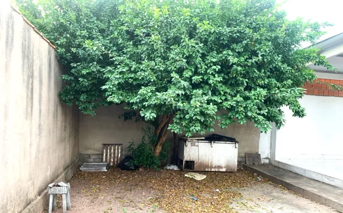 Galpão/Depósito/Armazém para venda Chácara dos Pinheiros  (CRECI9933/MT)