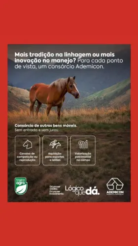 Consorcio 