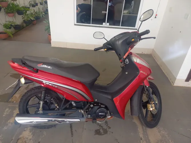 Bull 50 ( Cinquentinha )