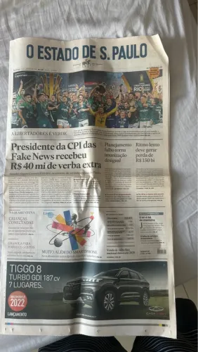 Pôster do Palmeiras campeão da libertadores 2020