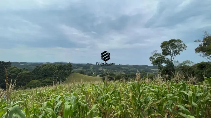 Área de Terras à venda no Bairro Vila Ferraria em Santa Maria do Herval RS REF: 1410